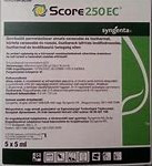 Score 250 EC
